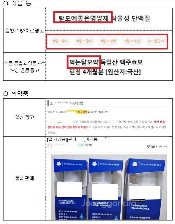 주요 적발 사례