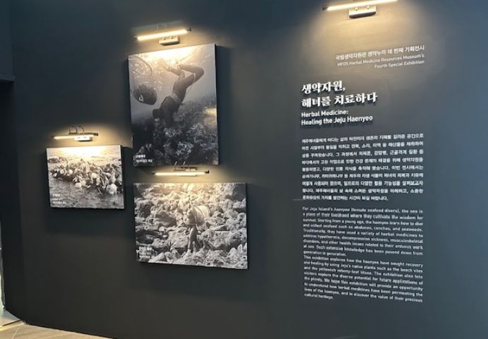 ‘생약자원, 해녀를 치료하다’ 기획전시