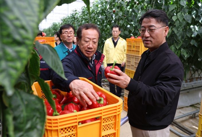 파프리카 시설원예 농가 방문